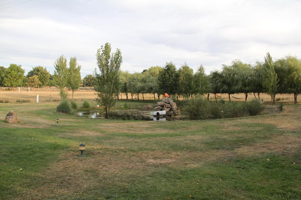 O Pelicano Bed & Breakfast Alfaiates Екстериор снимка